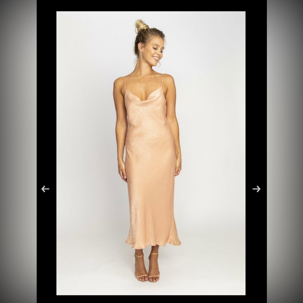 Resa - Berri Slip Dress in Blush -Small
